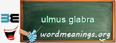 WordMeaning blackboard for ulmus glabra